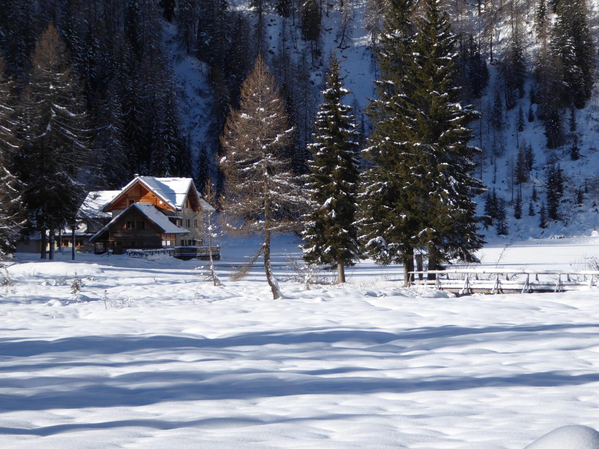 Dolomiti Hotel Cozzio Madonna di Campiglio Exterior photo
